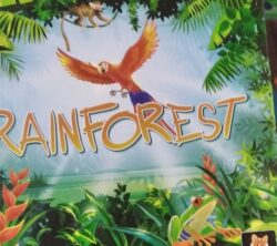 Boutique Domino - Jeu Rainforest