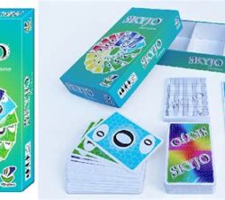 Domino Villars-les-Dombes : Skyjo